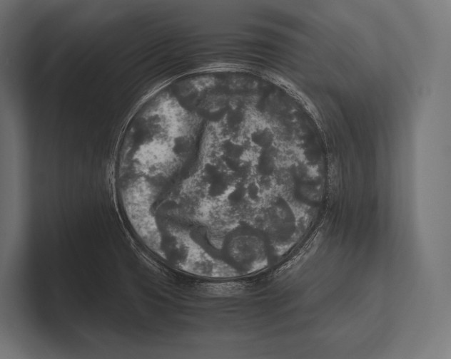 X0000100231425200806201434