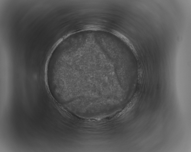 X0000100231427200806201434