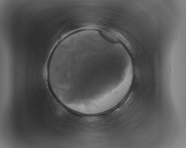 X0000100231428200806201434