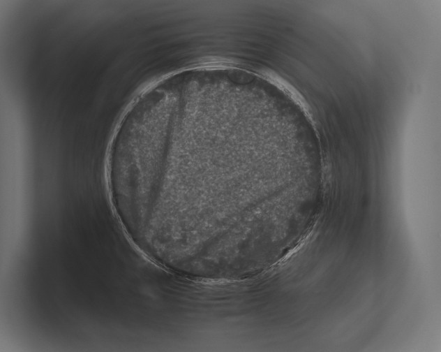 X0000100231429200806201434