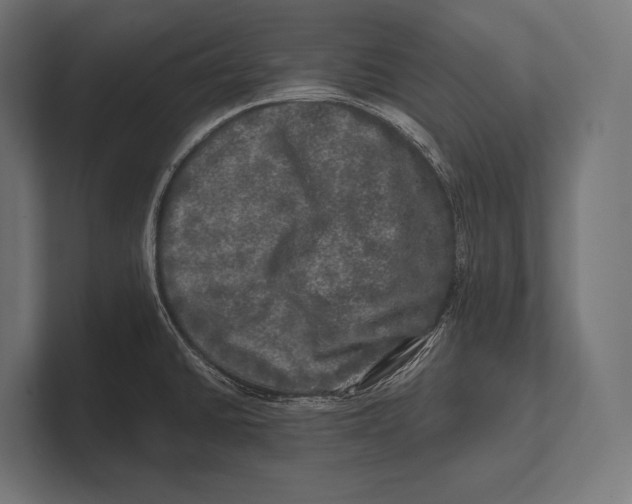 X0000100231430200806201434