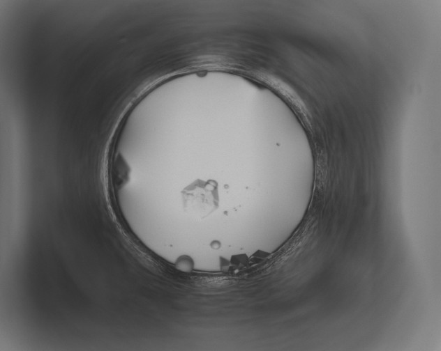 X0000100231431200806201434