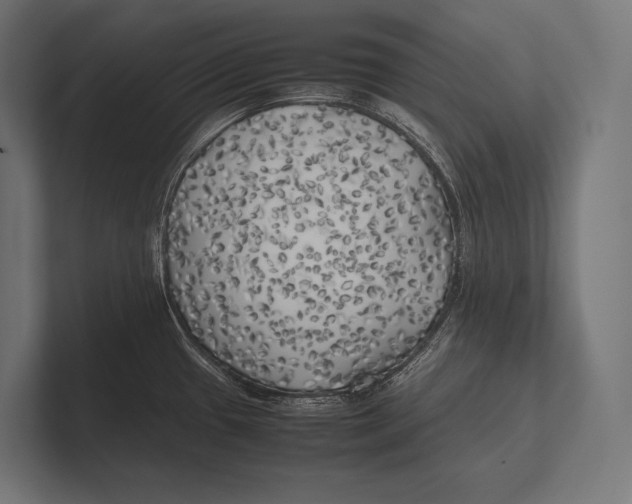 X0000100231433200806201434