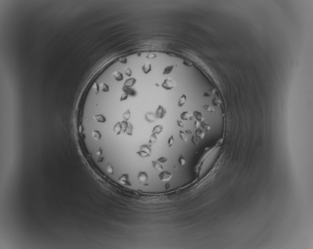 X0000100231434200806201434