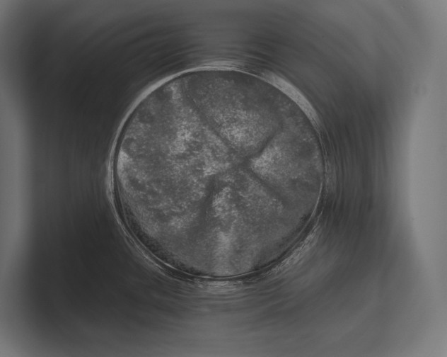 X0000100231436200806201434