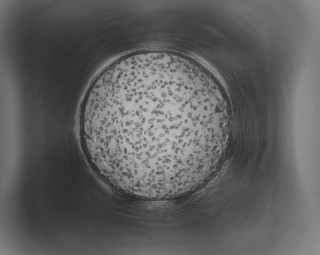 X0000100231437200806201434