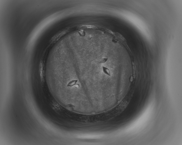 X0000100231438200806201434