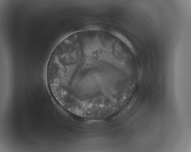 X0000100231439200806201434