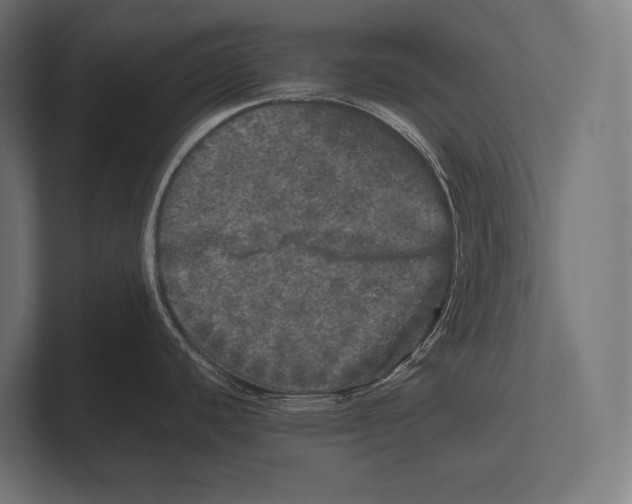 X0000100231440200806201435