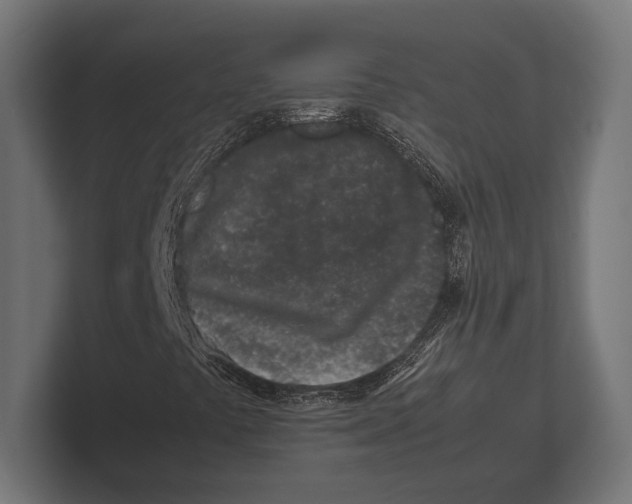 X0000100231441200806201434