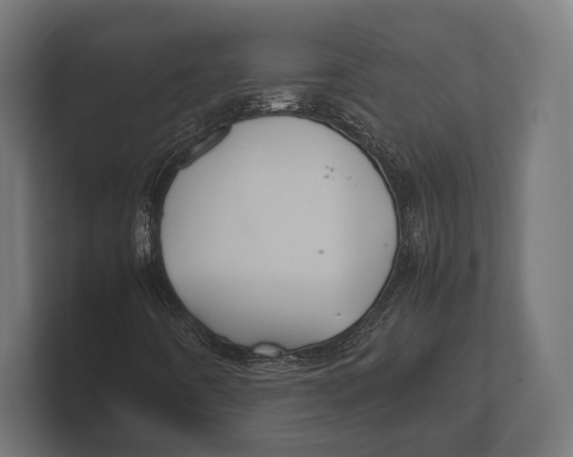 X0000100231442200806201434