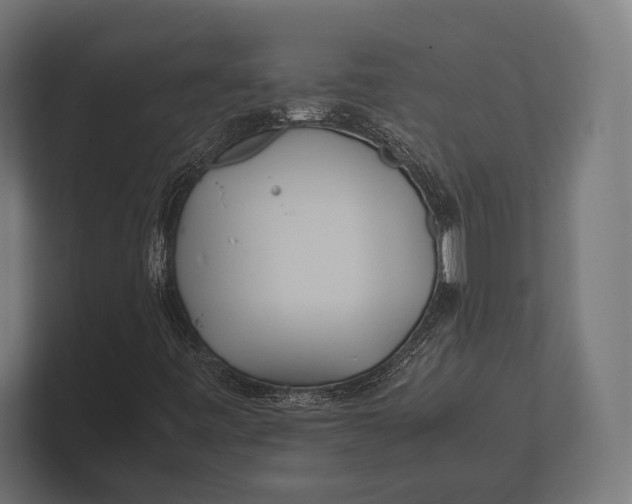 X0000100231443200806201434