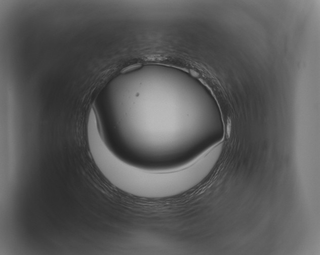 X0000100231444200806201434