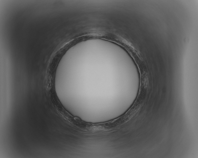 X0000100231448200806201434