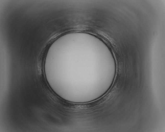 X0000100231451200806201434