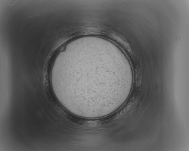 X0000100231453200806201434