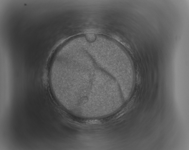 X0000100231454200806201434