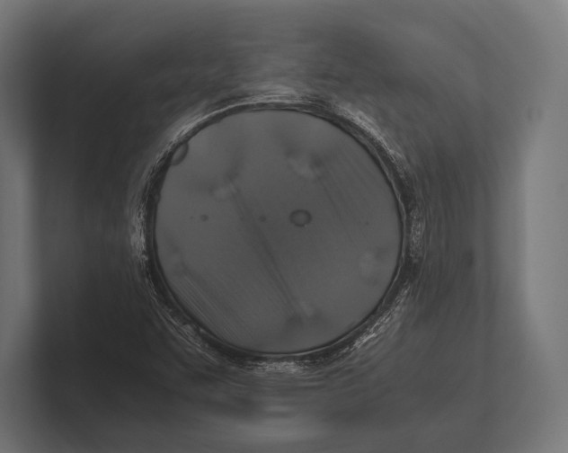 X0000100231455200806201434