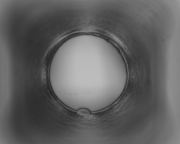 X0000100231456200806201434