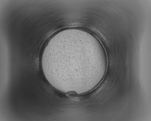 X0000100231457200806201434