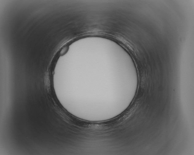 X0000100231458200806201434