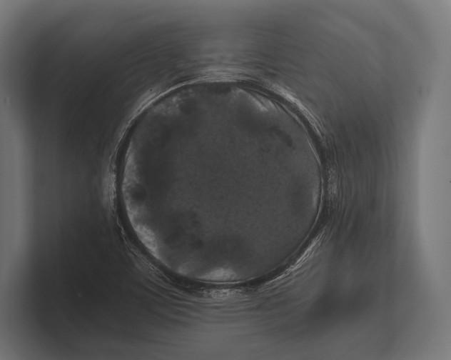 X0000100231459200806201434