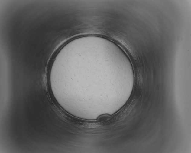 X0000100231460200806201434