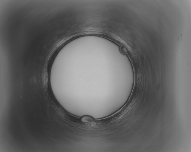 X0000100231461200806201434