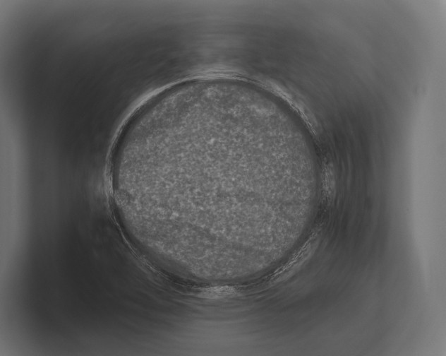 X0000100231462200806201434