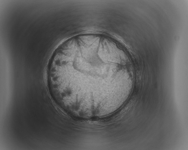 X0000100231463200806201434