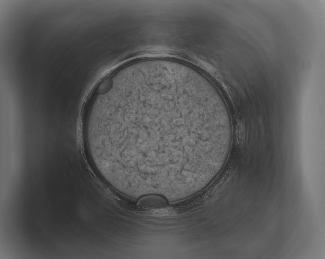 X0000100231464200806201434