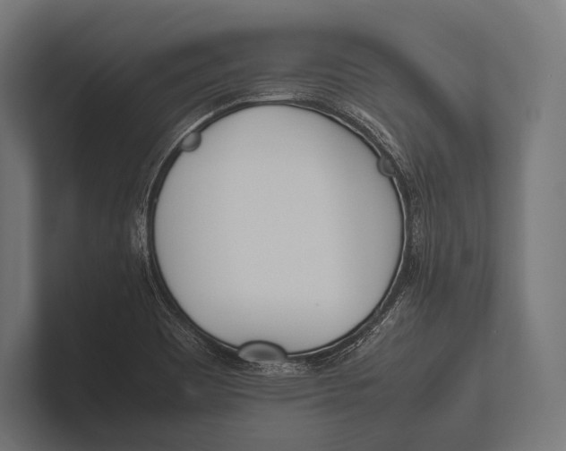 X0000100231465200806201434