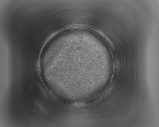 X0000100231466200806201434