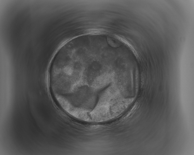 X0000100231467200806201434