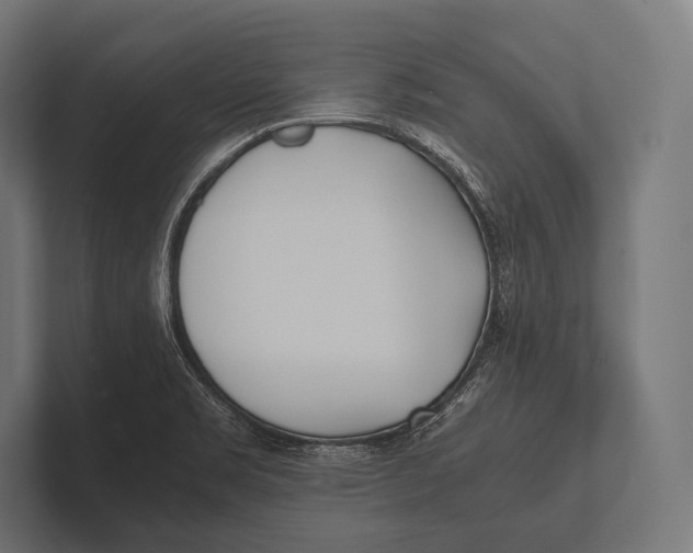 X0000100231469200806201433