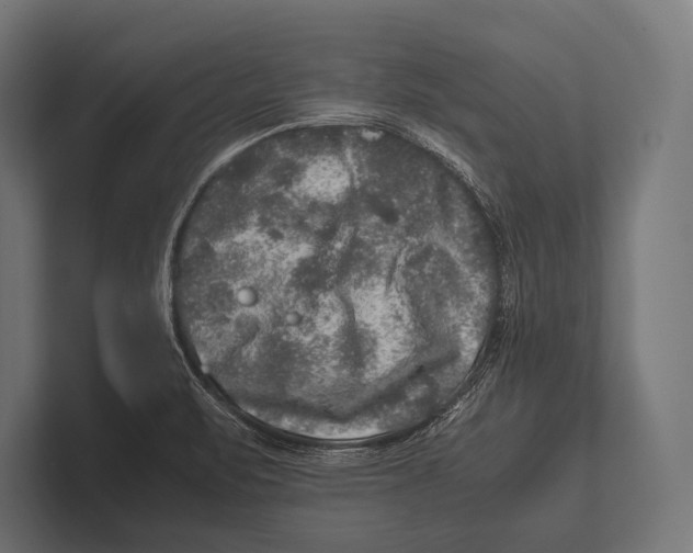 X0000100231471200806201433