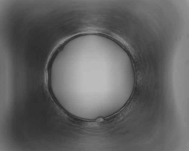 X0000100231472200806201433