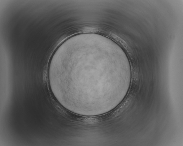 X0000100231473200806201433