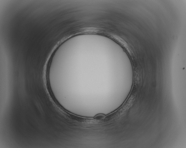 X0000100231475200806201433