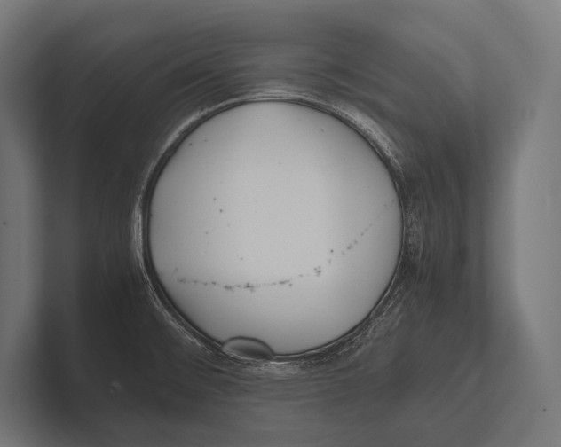 X0000100231476200806201433