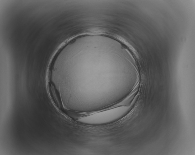 X0000100231477200806201433