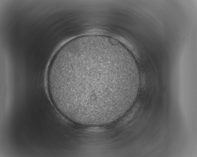 X0000100231478200806201433