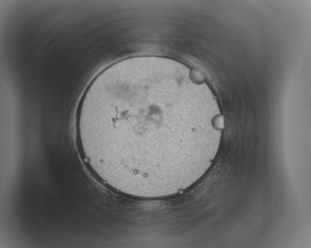 X0000100231479200806201433