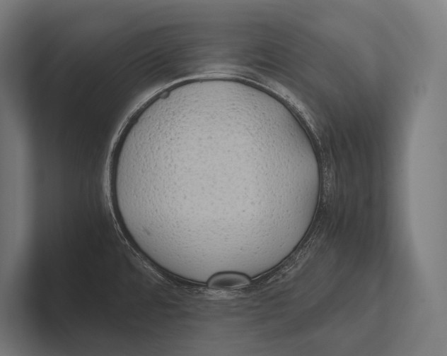 X0000100231480200806201433