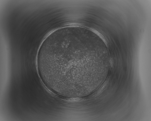 X0000100231482200806201433