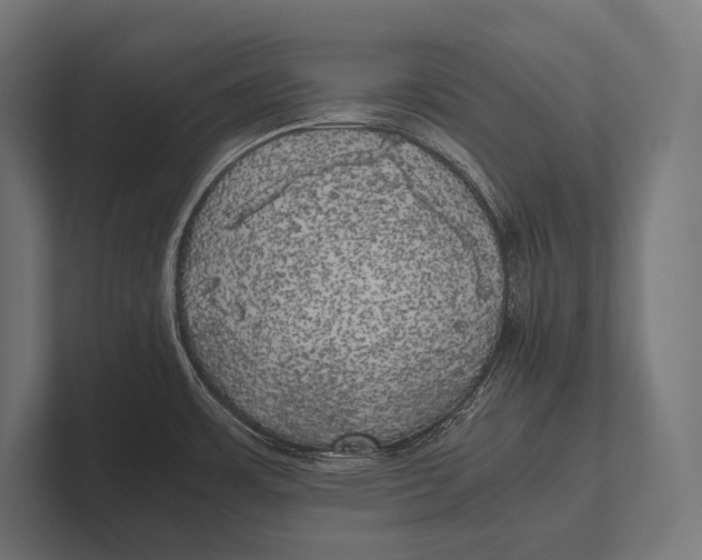 X0000100231483200806201433