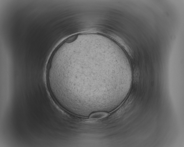 X0000100231484200806201433