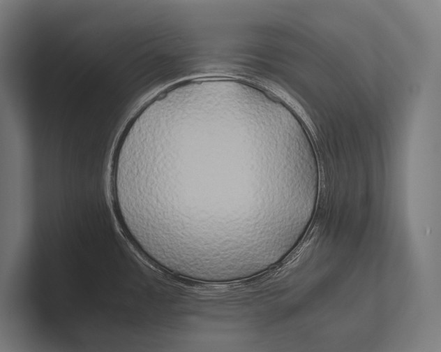 X0000100231485200806201433