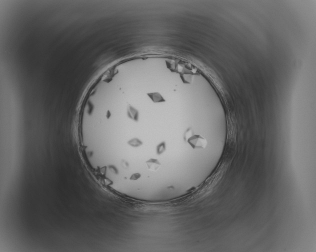 X0000100231486200806201433