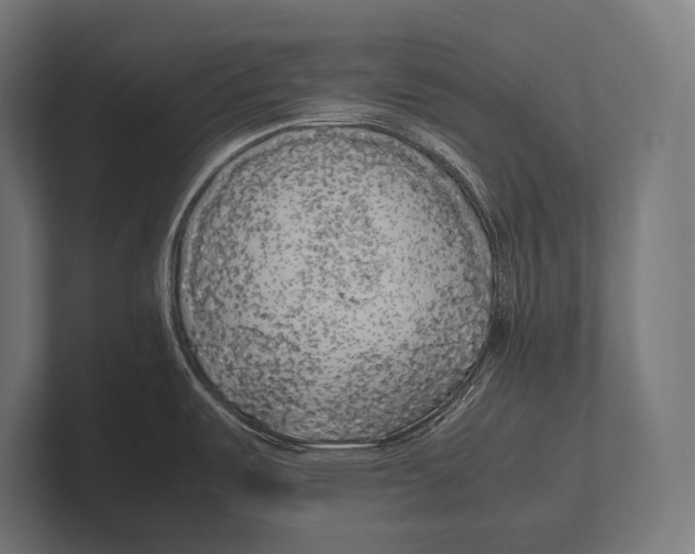 X0000100231487200806201433